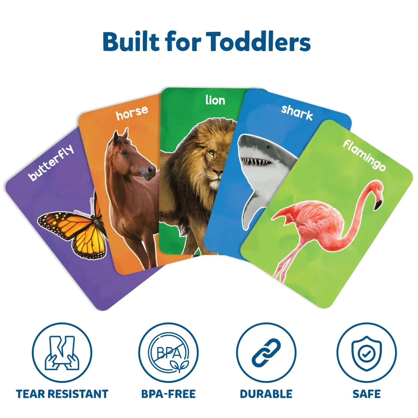 Early Learner Animal Combo (ages 1-5)