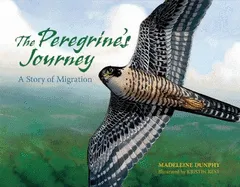 The Peregrine's Journey - A Story of Migration